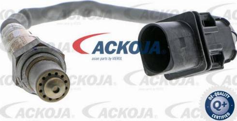 ACKOJA A53-76-0008 - Sonda Lambda aaoparts.ro