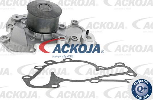 ACKOJA A52-50002 - Pompa apa aaoparts.ro