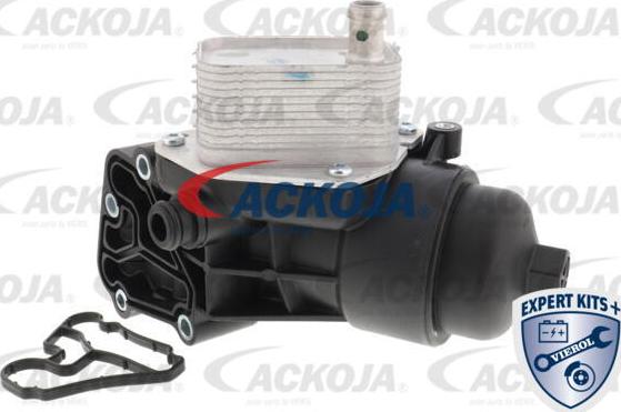 ACKOJA A52-60-0011 - Radiator ulei, ulei motor aaoparts.ro