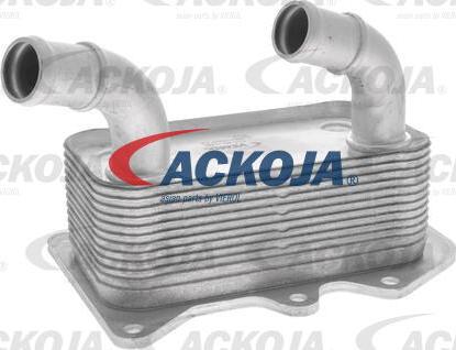 ACKOJA A52-60-1006 - Radiator ulei, ulei motor aaoparts.ro