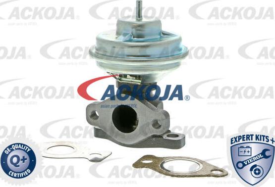 ACKOJA A52-63-0001 - Supapa EGR aaoparts.ro