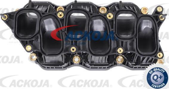 ACKOJA A52-0165 - Modul conducta admisie aaoparts.ro