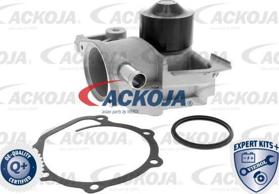 ACKOJA A63-50001 - Pompa apa aaoparts.ro