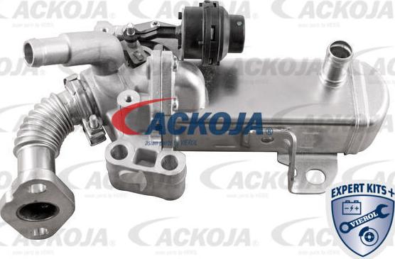 ACKOJA A38-63-0004 - Supapa EGR aaoparts.ro