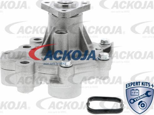 ACKOJA A32-50014 - Pompa apa aaoparts.ro