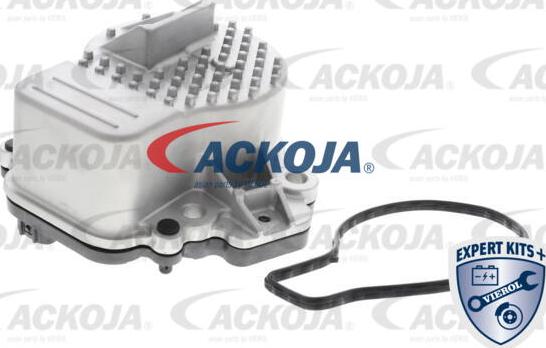 ACKOJA A70-16-0010 - Pompa apa aaoparts.ro
