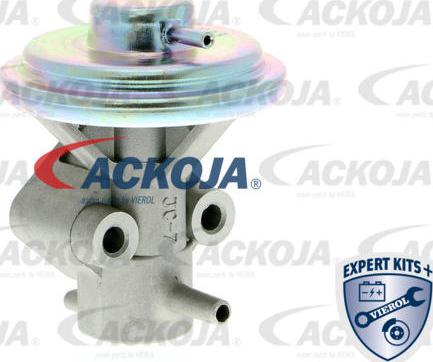 ACKOJA A51-63-0008 - Supapa EGR aaoparts.ro