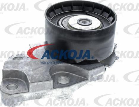 ACKOJA A51-0012 - Rola intinzator,curea distributie aaoparts.ro