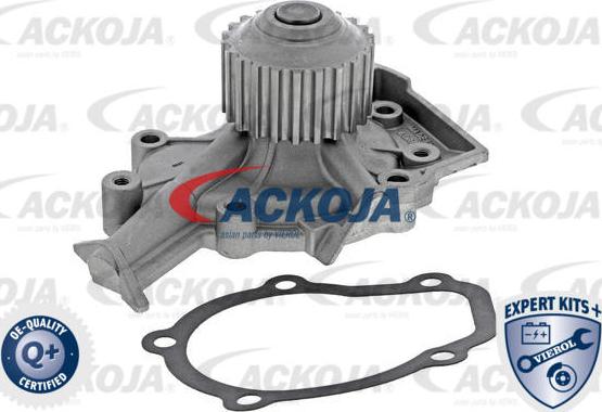 ACKOJA A51-0700 - Pompa apa aaoparts.ro