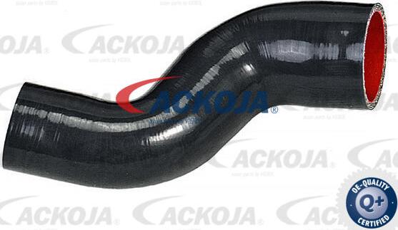 ACKOJA A52-0272 - Furtun aer supraalimentare aaoparts.ro