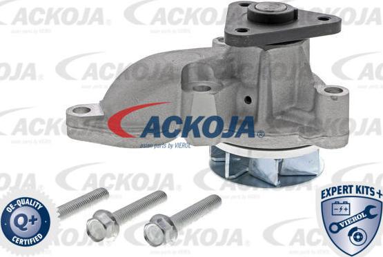 ACKOJA A52-0704 - Pompa apa aaoparts.ro