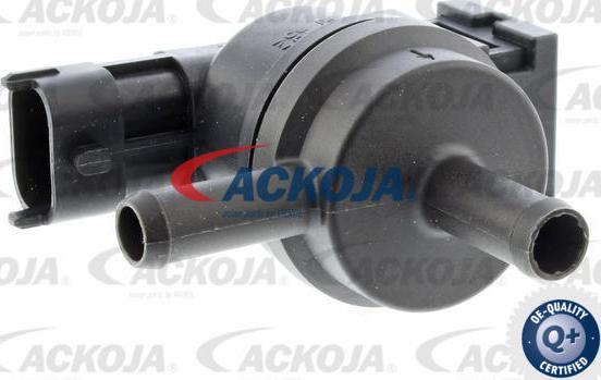 ACKOJA A52-77-0019 - Supapa,filtru carbon activ aaoparts.ro