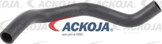 ACKOJA A64-1603 - Furtun radiator aaoparts.ro