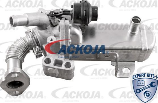 ACKOJA A38-63-0004 - Supapa EGR aaoparts.ro
