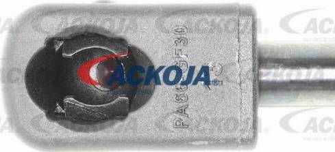 ACKOJA A38-0527 - Rola ghidare / conducere, curea transmisie aaoparts.ro