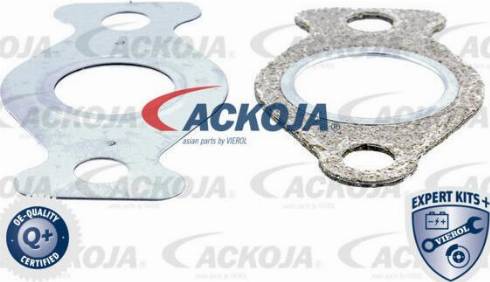 ACKOJA A38-0281 - Furtun frana aaoparts.ro