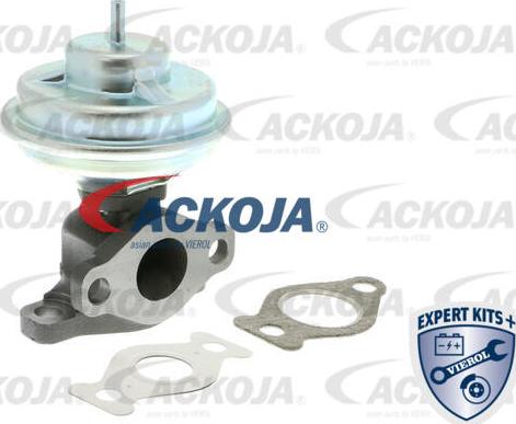 ACKOJA A38-0282 - Furtun frana aaoparts.ro