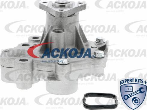 ACKOJA A32-50014 - Pompa apa aaoparts.ro