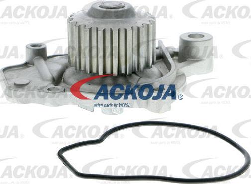 ACKOJA A26-50005 - Pompa apa aaoparts.ro