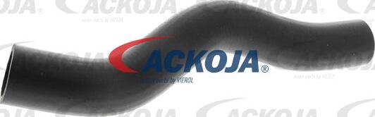 ACKOJA A26-1601 - Furtun radiator aaoparts.ro