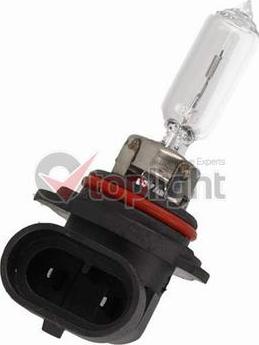 AE TOPLIGHT 39009 - Bec, far faza lunga aaoparts.ro