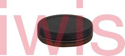 AIC 59330 - Capac conector, bolt principal aaoparts.ro