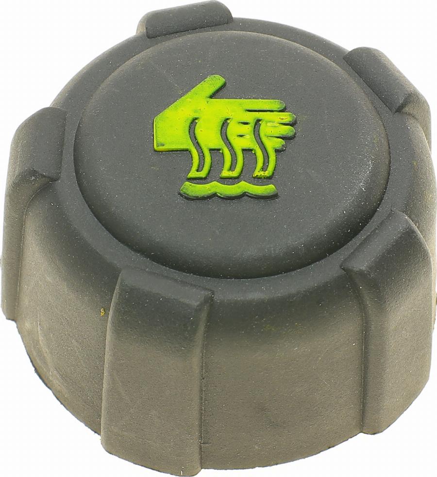 AIC 55731 - Buson,vas expansiune aaoparts.ro