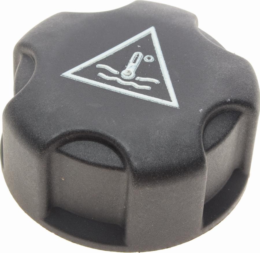 AIC 55732 - Buson,vas expansiune aaoparts.ro