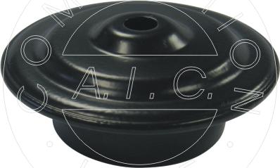 AIC 53918 - Saiba arc aaoparts.ro