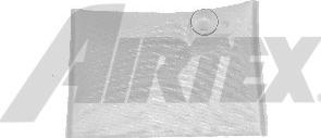 Airtex FS206 - Filtru, sistem alimentare combustibil aaoparts.ro