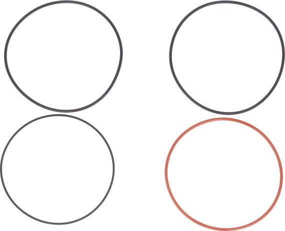 Ajusa 60005800 - Set garnituri, bucsa cilindru aaoparts.ro