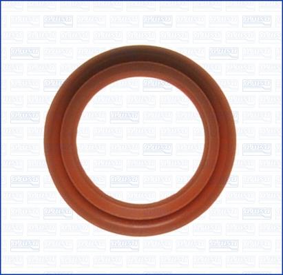 Ajusa 00867000 - Garnitura, conducta supapa-AGR aaoparts.ro