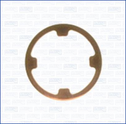 Ajusa 01087000 - Garnitura, racord admisie combustibil aaoparts.ro