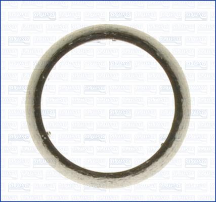 Ajusa 01223800 - Garnitura, racord evacuare aaoparts.ro