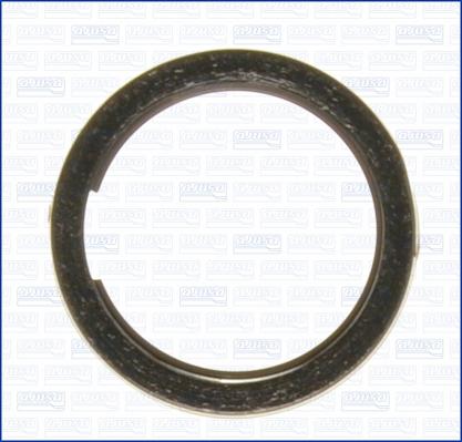 Ajusa 19004500 - Garnitura, racord evacuare aaoparts.ro