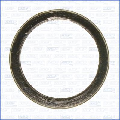 Ajusa 19005600 - Garnitura, racord evacuare aaoparts.ro