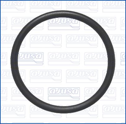 Ajusa 16566100 - Inel etansare, furtun lichid racire aaoparts.ro