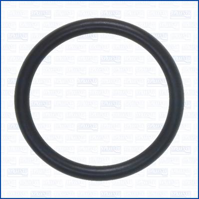 Ajusa 16534700 - Inel de etansare aaoparts.ro