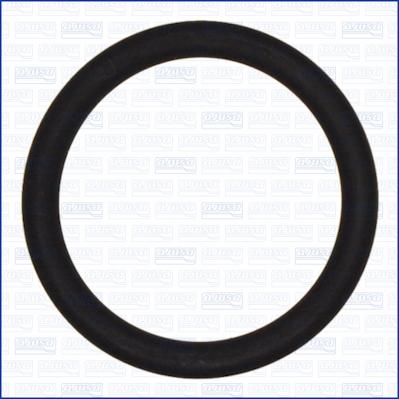 Ajusa 16092600 - Inel de etansare aaoparts.ro