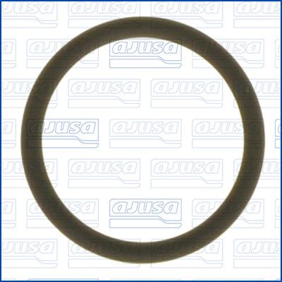 Ajusa 16092300 - Inel de etansare aaoparts.ro