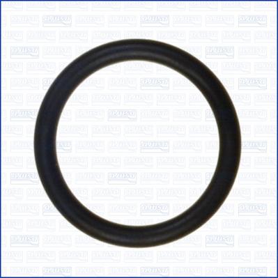 Ajusa 16016200 - Garnitura, galerie admisie aaoparts.ro