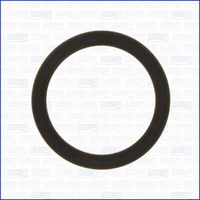 Ajusa 16089900 - Inel de etansare aaoparts.ro