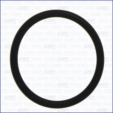 Ajusa 16080700 - Garnitura, filtru combustibil aaoparts.ro