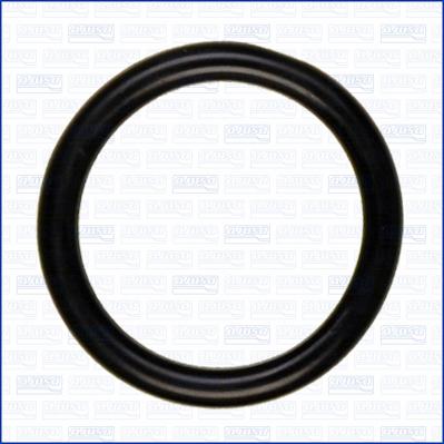 Ajusa 16082400 - Inel de etansare aaoparts.ro