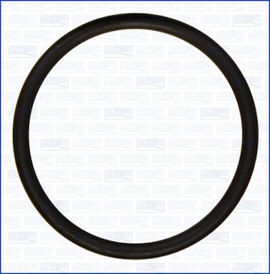 Ajusa 16087600 - Inel de etansare aaoparts.ro