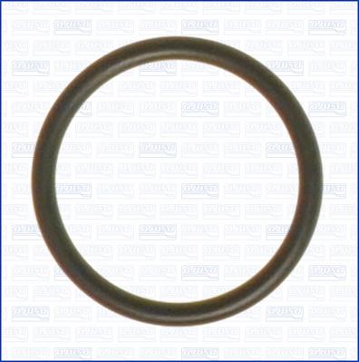 Ajusa 16022300 - Inel de etansare aaoparts.ro