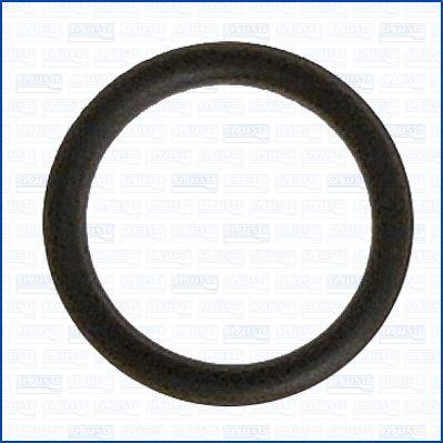 Ajusa 16075500 - Garnitura,conducta lichid de racire aaoparts.ro