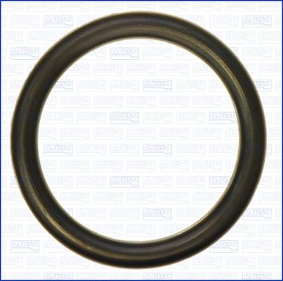 Ajusa 16072300 - Inel de etansare aaoparts.ro