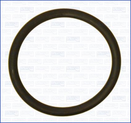 Ajusa 16100000 - Inel de etansare aaoparts.ro