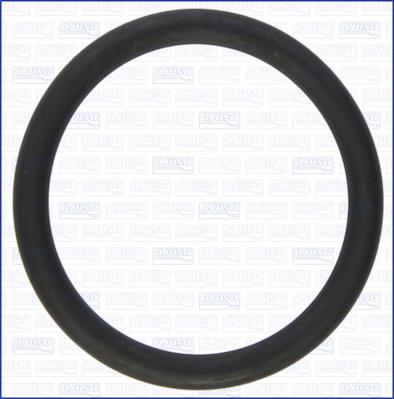 Ajusa 16113000 - Inel etansare, compresor aaoparts.ro